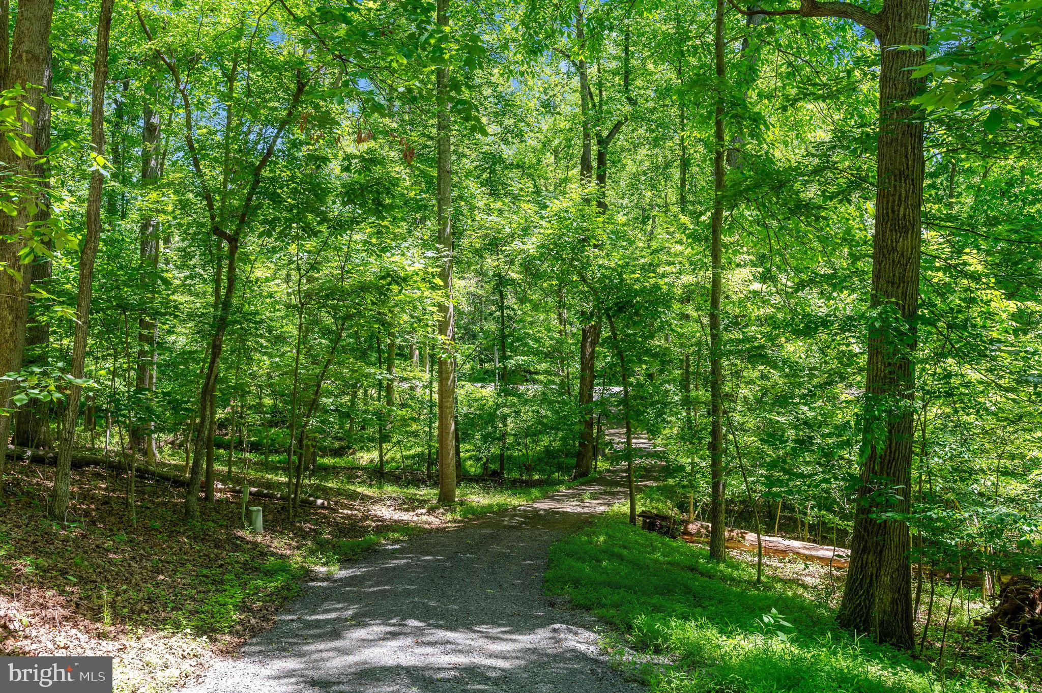 11408 Dutch Hollow Road Culpeper, VA 22701 - Photo 52 of 85 Driveway