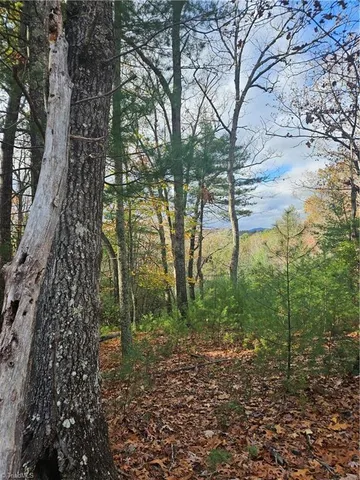 $15,000 | -sutter's Ridge Lt 112 Sutter's Ridge, McGrady, NC 28649