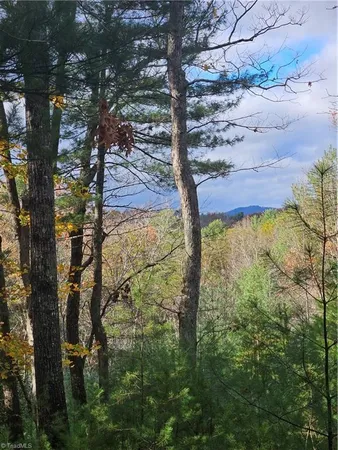 $15,000 | -sutter's Ridge Lt 112 Sutter's Ridge, McGrady, NC 28649