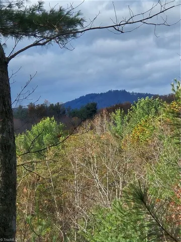 $15,000 | -sutter's Ridge Lt 112 Sutter's Ridge, McGrady, NC 28649