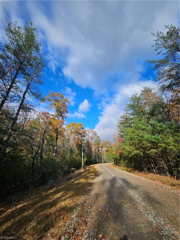 -sutter's Ridge Lt 112 Sutter's Ridge McGrady, NC 28649 - Photo 6 of 9