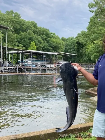 $1,590,000 | 16 Hawk Hill Court, Lake Ozark, MO 65049