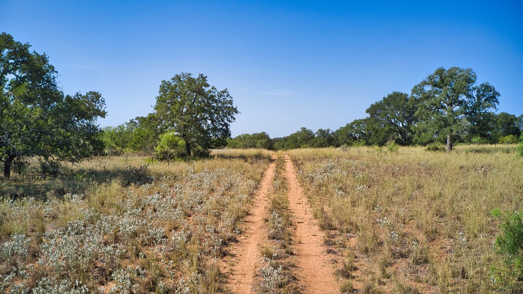 0 Cow Creek Road Mason, TX 76856 - Photo 4 of 17 Gallery Image 4