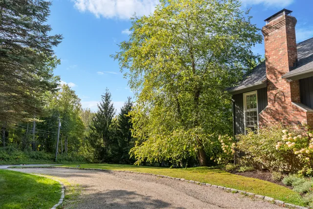 a view of a yard with plants and trees