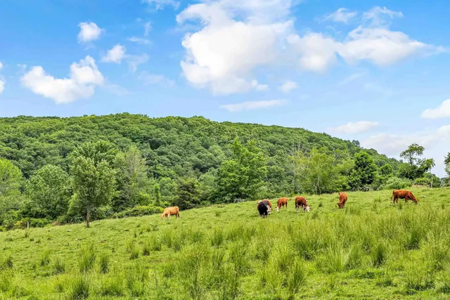 a backyard of a house with lots of green space