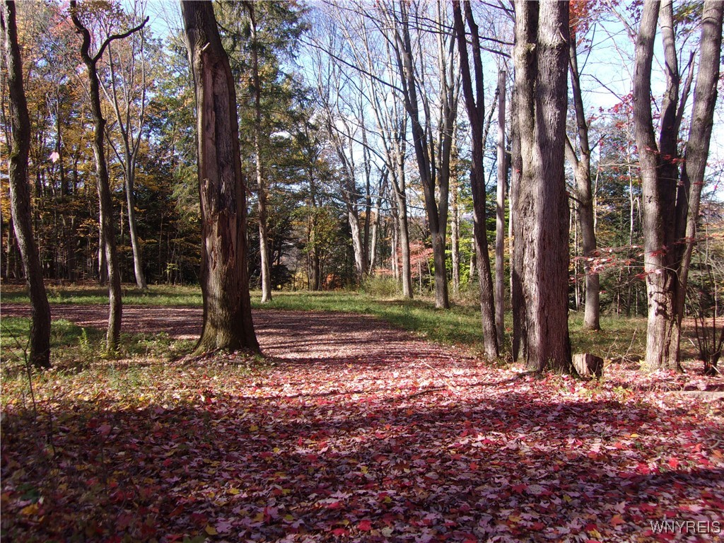 8871 Russell Road Rushford, NY 14777 - Photo 1 of 1 Gallery Image 1