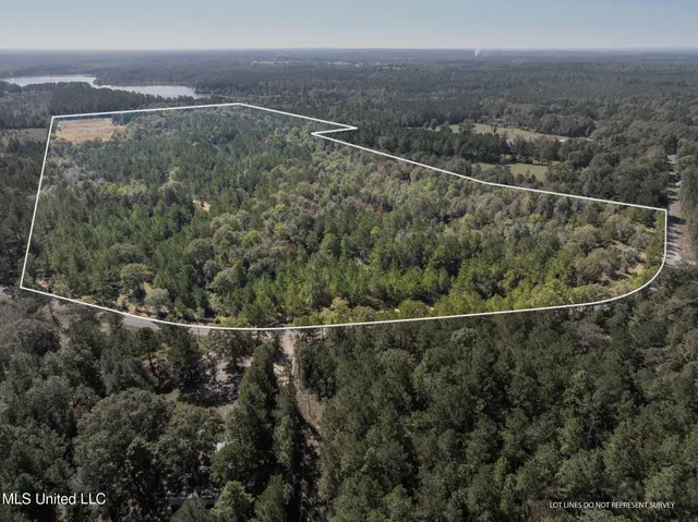 $399,900 | 91-acres Burge And Reyer Road, Poplarville, MS 39470