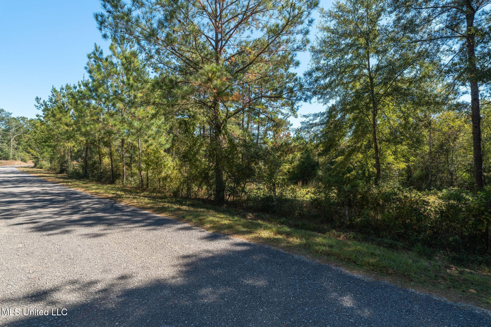 91-acres Burge And Reyer Road Poplarville, MS 39470 - Photo 11 of 36 mls_00_Burge_and_Reyer_Rd-8