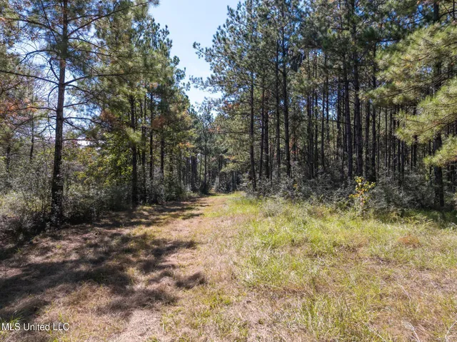 $399,900 | 91-acres Burge And Reyer Road, Poplarville, MS 39470