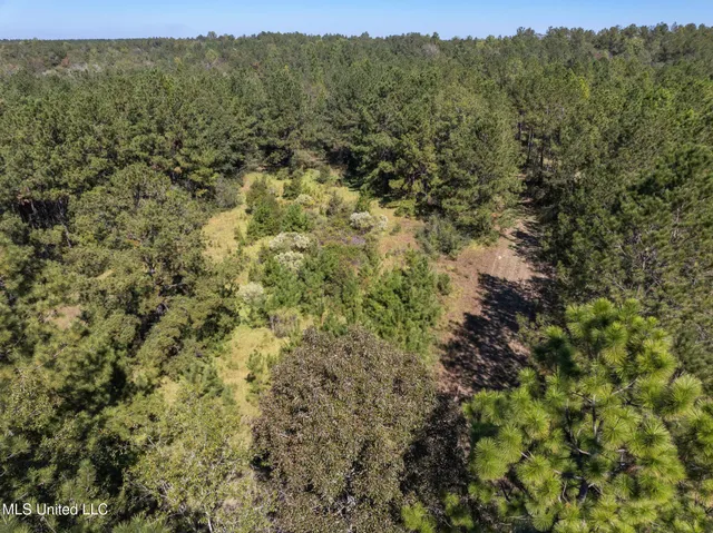 $399,900 | 91-acres Burge And Reyer Road, Poplarville, MS 39470