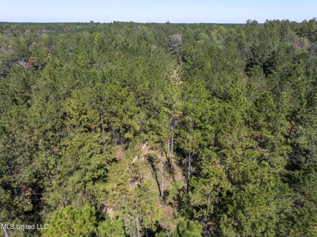 $399,900 | 91-acres Burge And Reyer Road, Poplarville, MS 39470