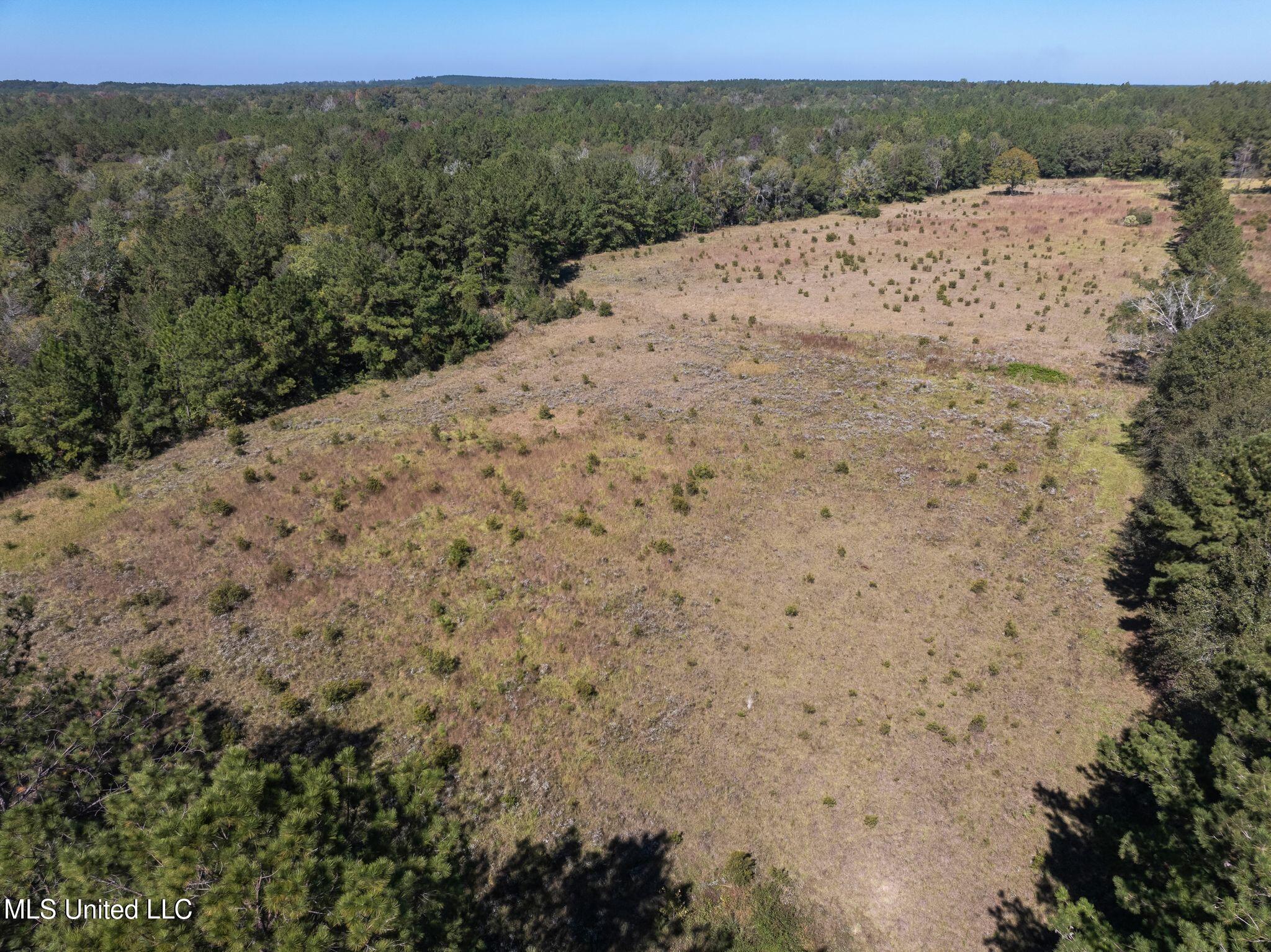 91-acres Burge And Reyer Road Poplarville, MS 39470 - Photo 15 of 36 mls_00_Burge_and_Reyer_Rd-18