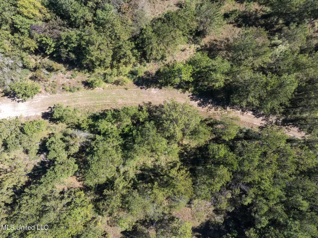 $399,900 | 91-acres Burge And Reyer Road, Poplarville, MS 39470