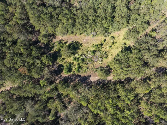 $399,900 | 91-acres Burge And Reyer Road, Poplarville, MS 39470
