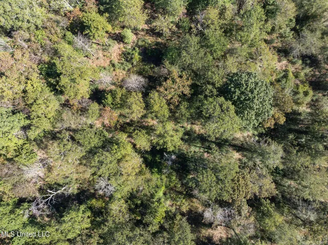 $399,900 | 91-acres Burge And Reyer Road, Poplarville, MS 39470