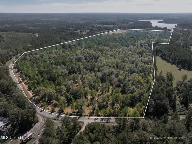 $399,900 | 91-acres Burge And Reyer Road, Poplarville, MS 39470