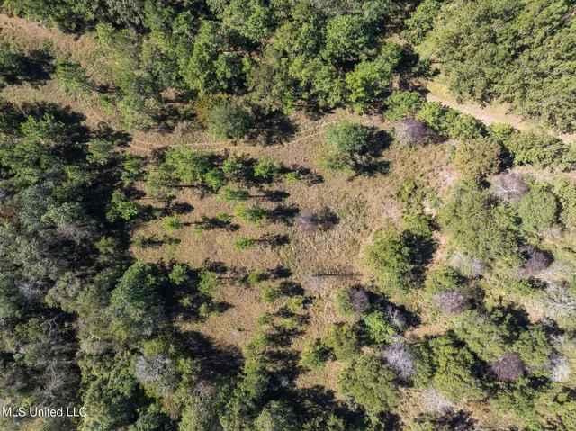 $399,900 | 91-acres Burge And Reyer Road, Poplarville, MS 39470
