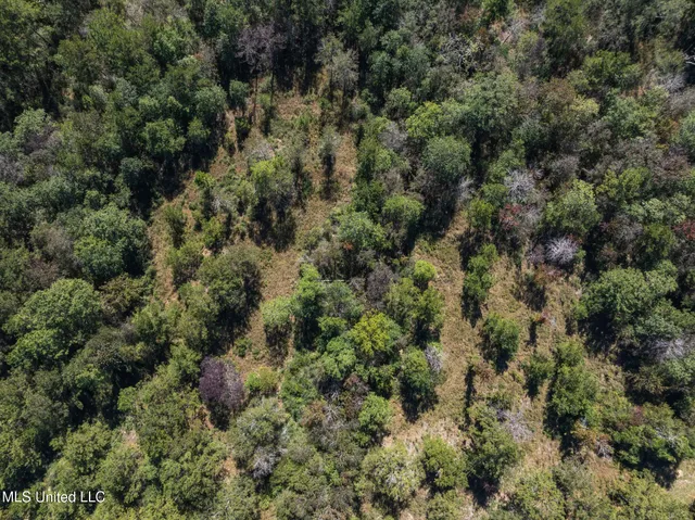 $399,900 | 91-acres Burge And Reyer Road, Poplarville, MS 39470