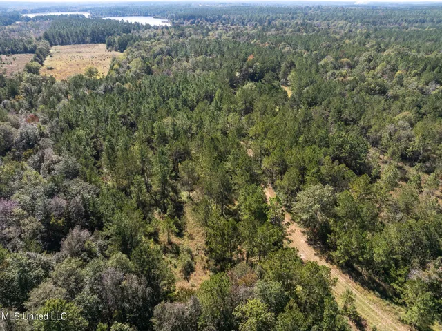 $399,900 | 91-acres Burge And Reyer Road, Poplarville, MS 39470