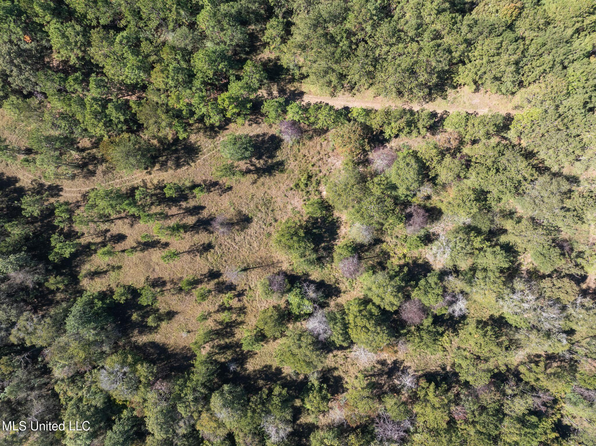 91-acres Burge And Reyer Road Poplarville, MS 39470 - Photo 24 of 36 mls_00_Burge_and_Reyer_Rd-30