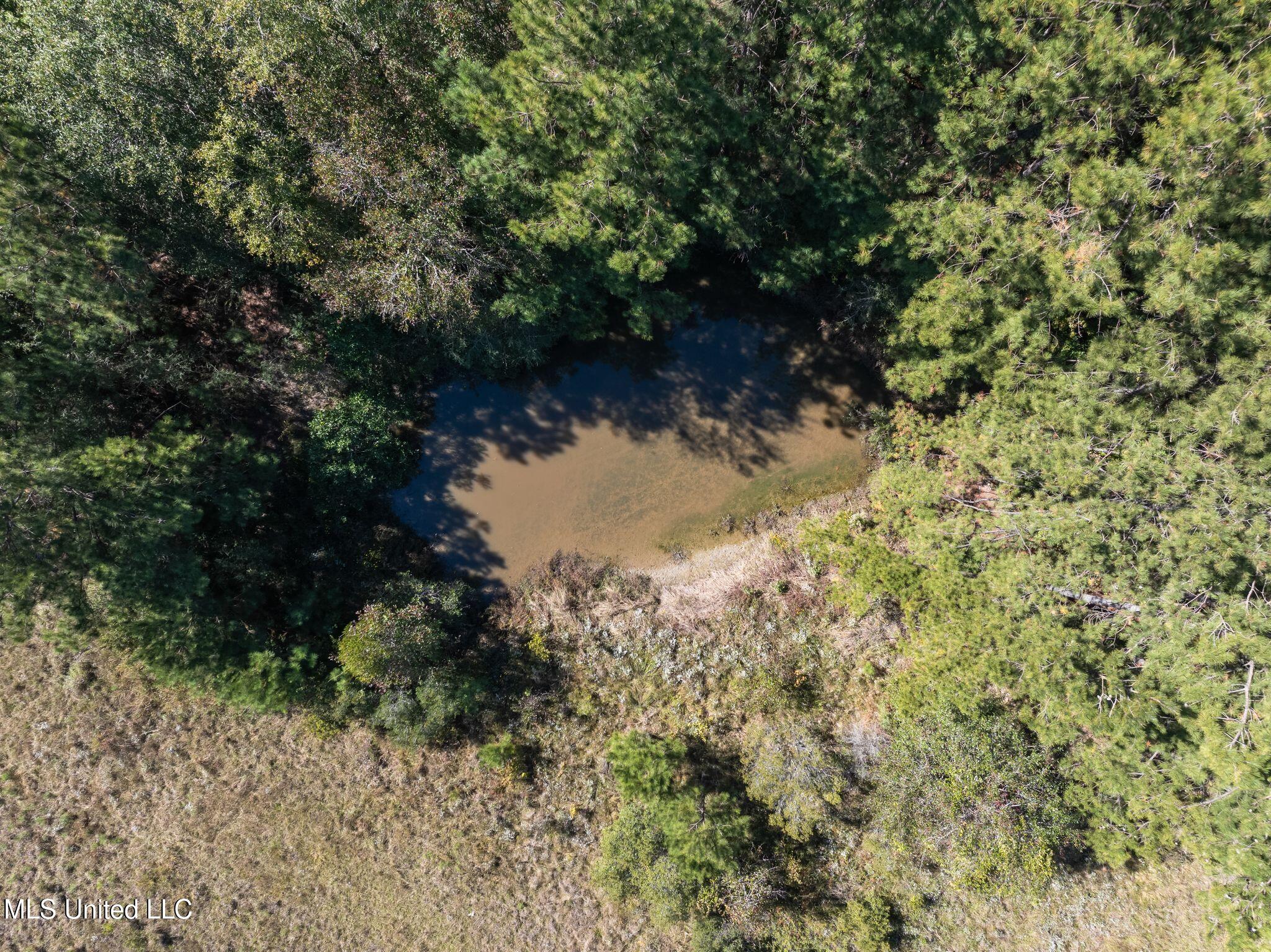 91-acres Burge And Reyer Road Poplarville, MS 39470 - Photo 25 of 36 mls_00_Burge_and_Reyer_Rd-29