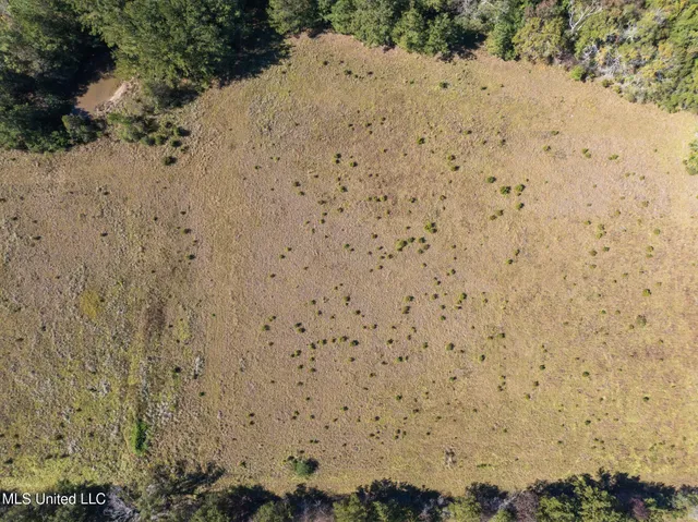 $399,900 | 91-acres Burge And Reyer Road, Poplarville, MS 39470