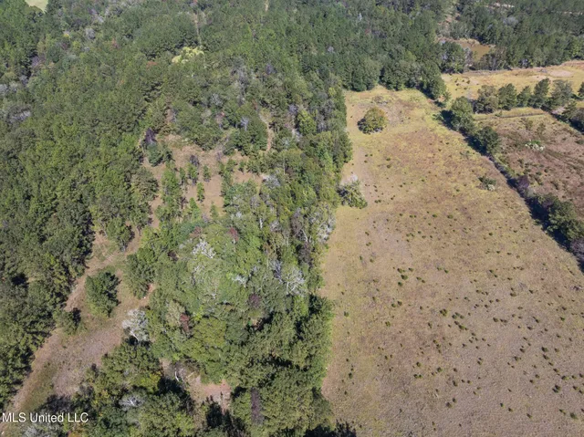 $399,900 | 91-acres Burge And Reyer Road, Poplarville, MS 39470