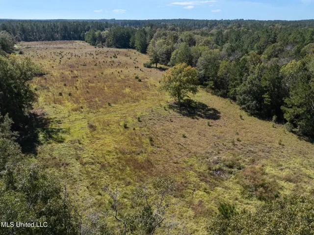$399,900 | 91-acres Burge And Reyer Road, Poplarville, MS 39470