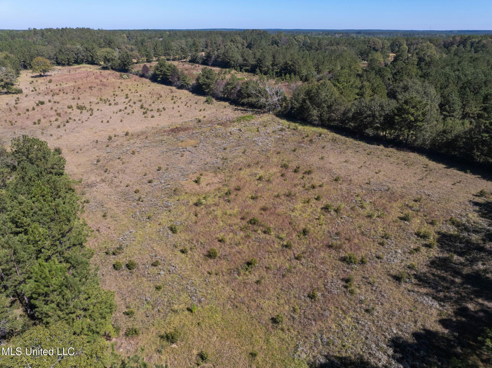 91-acres Burge And Reyer Road Poplarville, MS 39470 - Photo 29 of 36 mls_00_Burge_and_Reyer_Rd-19