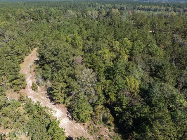 $399,900 | 91-acres Burge And Reyer Road, Poplarville, MS 39470