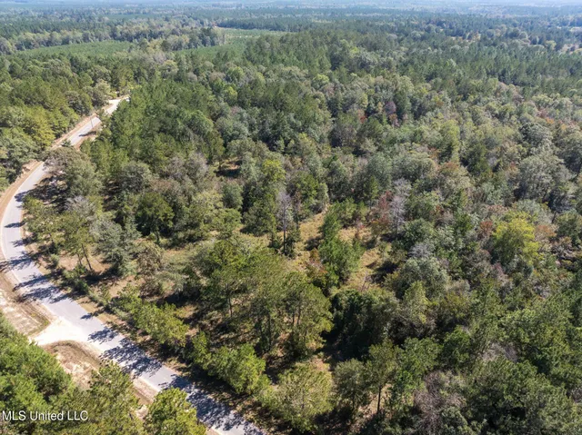 $399,900 | 91-acres Burge And Reyer Road, Poplarville, MS 39470