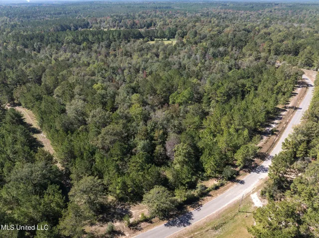 $399,900 | 91-acres Burge And Reyer Road, Poplarville, MS 39470