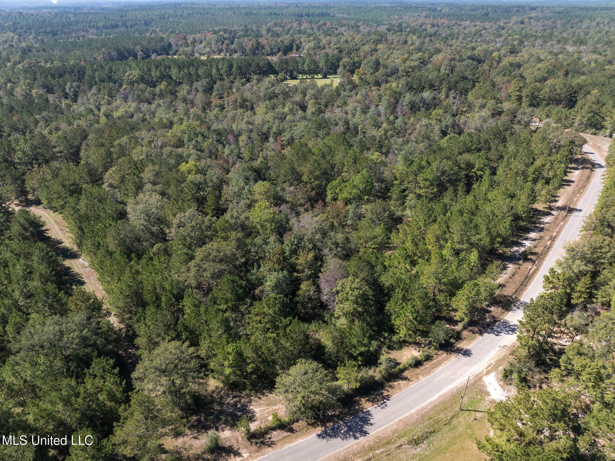 91-acres Burge And Reyer Road Poplarville, MS 39470 - Photo 32 of 36 mls_00_Burge_and_Reyer_Rd-22