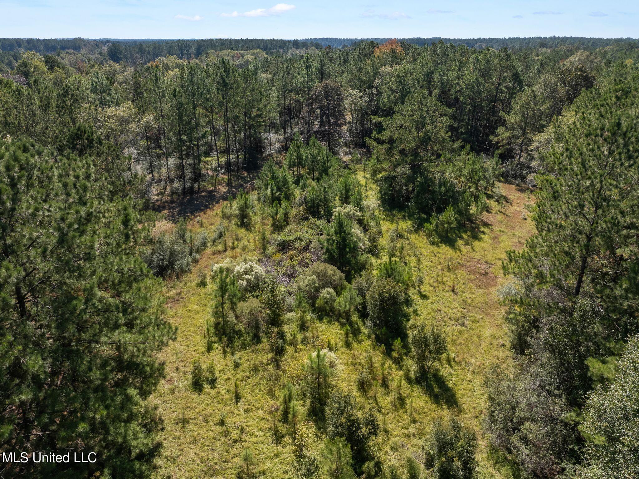 91-acres Burge And Reyer Road Poplarville, MS 39470 - Photo 33 of 36 mls_00_Burge_and_Reyer_Rd-15