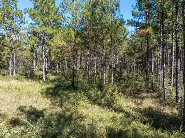 $399,900 | 91-acres Burge And Reyer Road, Poplarville, MS 39470