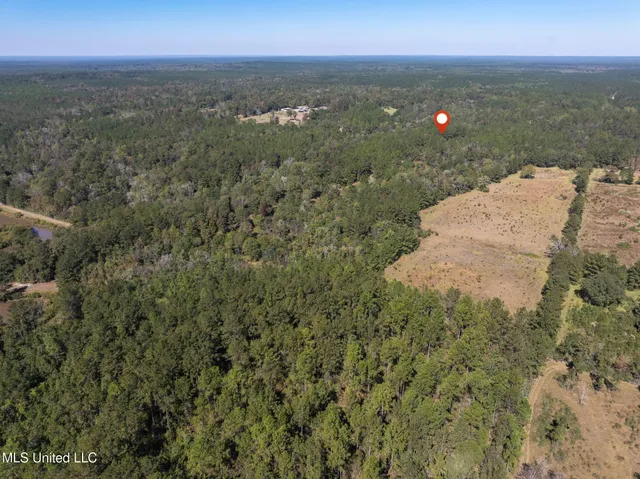 $399,900 | 91-acres Burge And Reyer Road, Poplarville, MS 39470