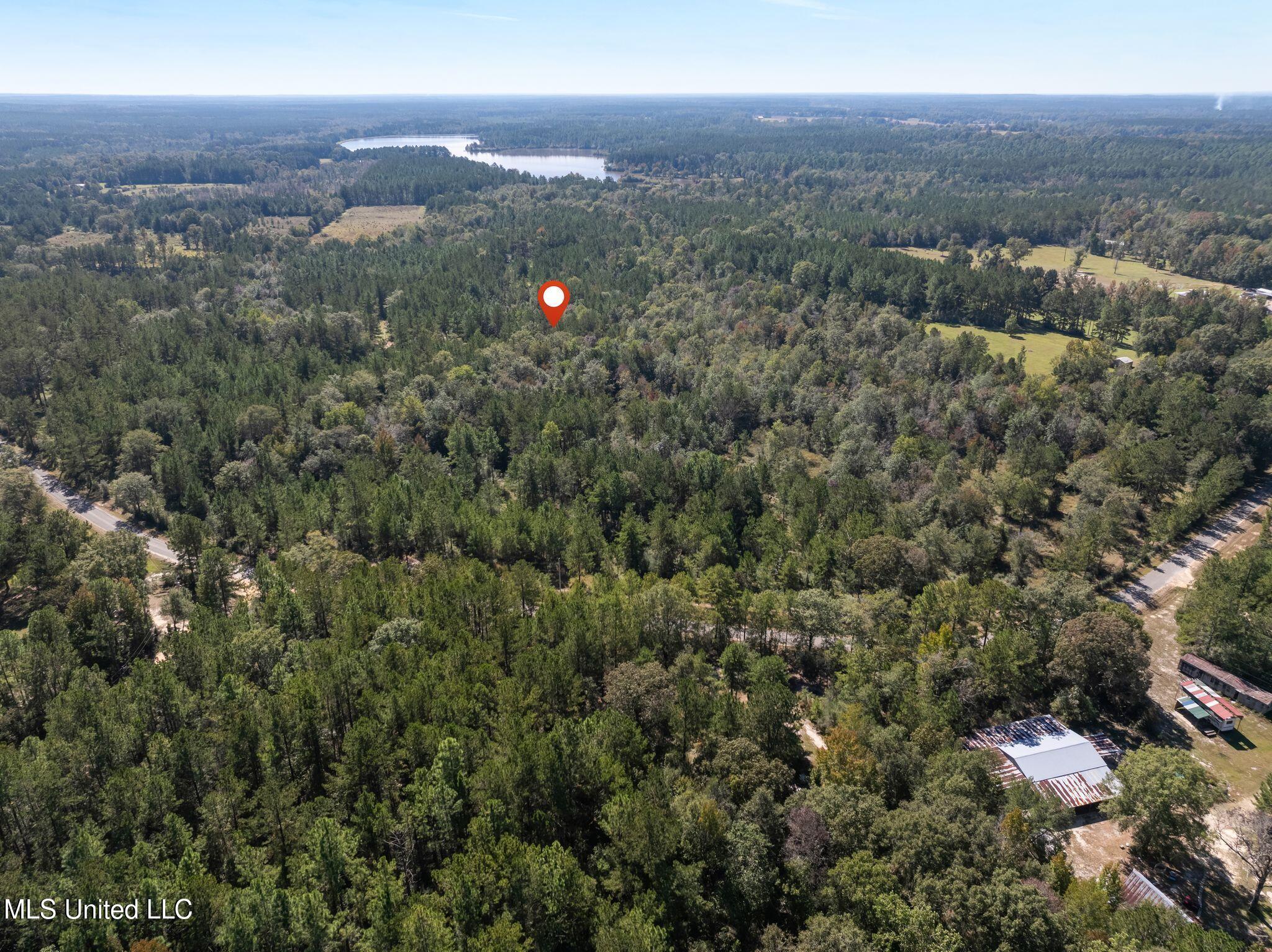 91-acres Burge And Reyer Road Poplarville, MS 39470 - Photo 36 of 36 mls_00_Burge_and_Reyer_Rd-36