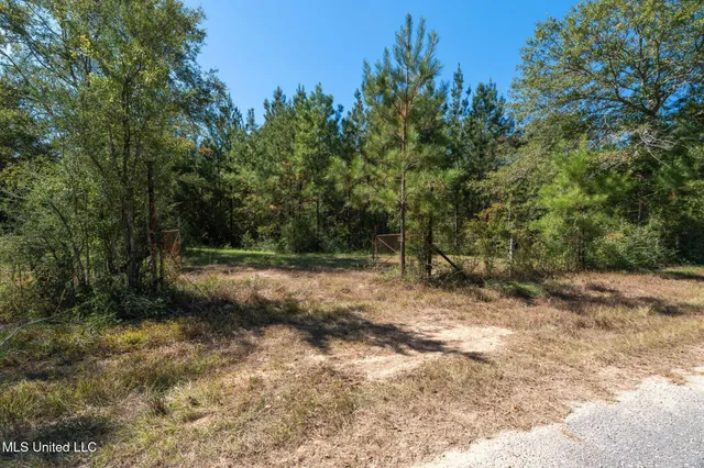 $399,900 | 91-acres Burge And Reyer Road, Poplarville, MS 39470