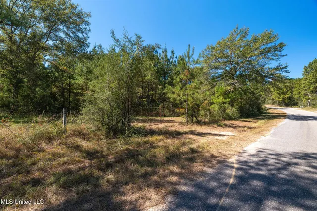 $399,900 | 91-acres Burge And Reyer Road, Poplarville, MS 39470