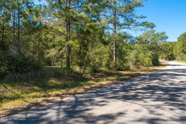 $399,900 | 91-acres Burge And Reyer Road, Poplarville, MS 39470