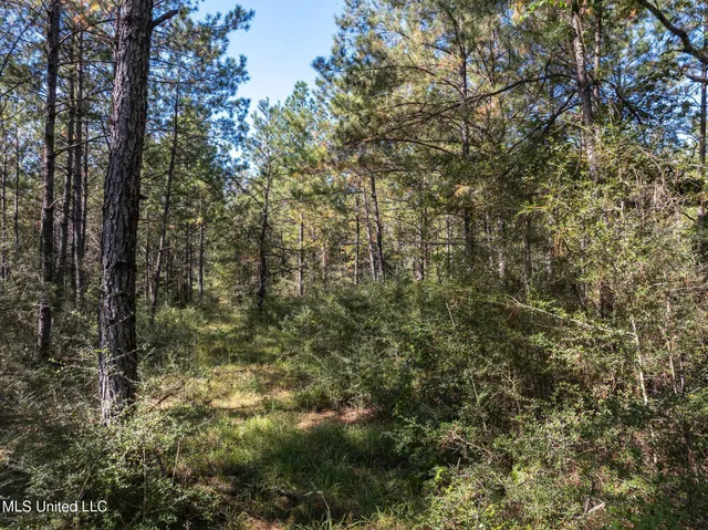 $399,900 | 91-acres Burge And Reyer Road, Poplarville, MS 39470