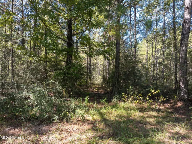$399,900 | 91-acres Burge And Reyer Road, Poplarville, MS 39470