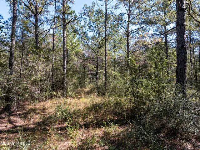 $399,900 | 91-acres Burge And Reyer Road, Poplarville, MS 39470