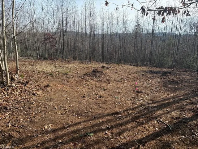 $64,900 | Lot 41-42 Billings Hill, Traphill, NC 28685