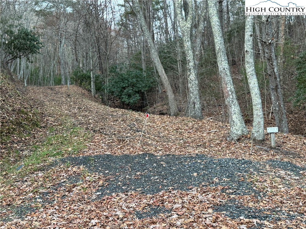 Lot 16 Vista Ridge Road West Jefferson, NC 28694 - Photo 10 of 10 Gallery Image 10
