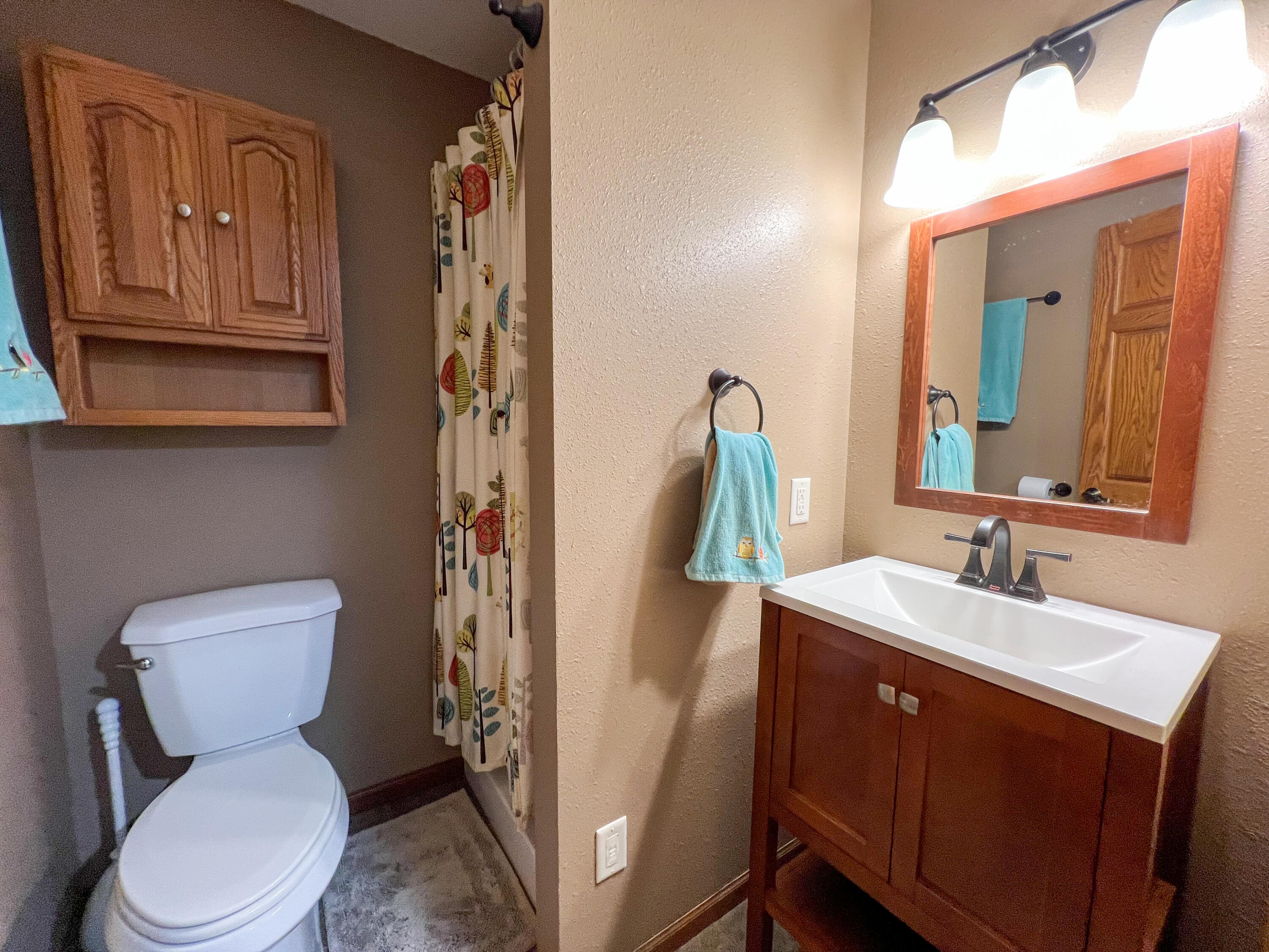 580 Skunk Hollow Road La Crescent, MN 55947 - Photo 50 of 83 Bathroom