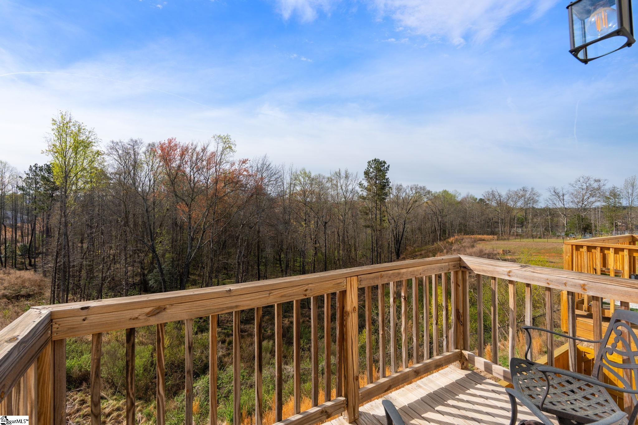 23 Apollo View Lane Greenville, SC 29607 - Photo 28 of 32