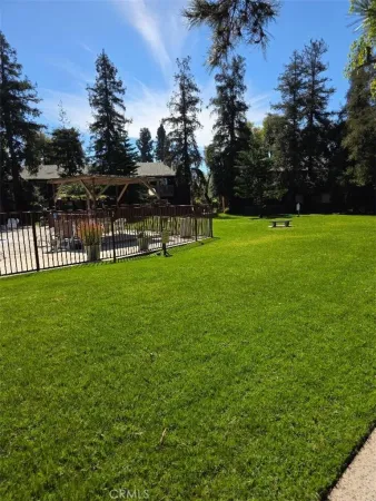 a view of a park with large trees