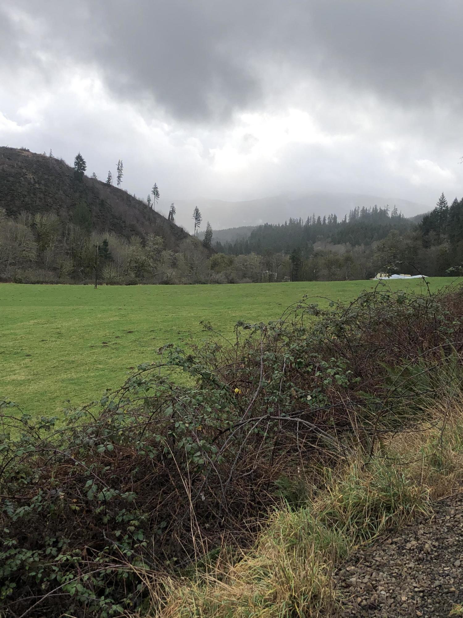 21015 Moon Creek Road Beaver, OR 97108 - Photo 32 of 35 IMG_6606