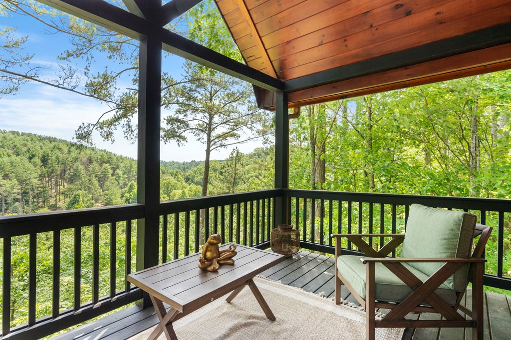 175 Woodhaven Road Blue Ridge, GA 30513 - Photo 24 of 53